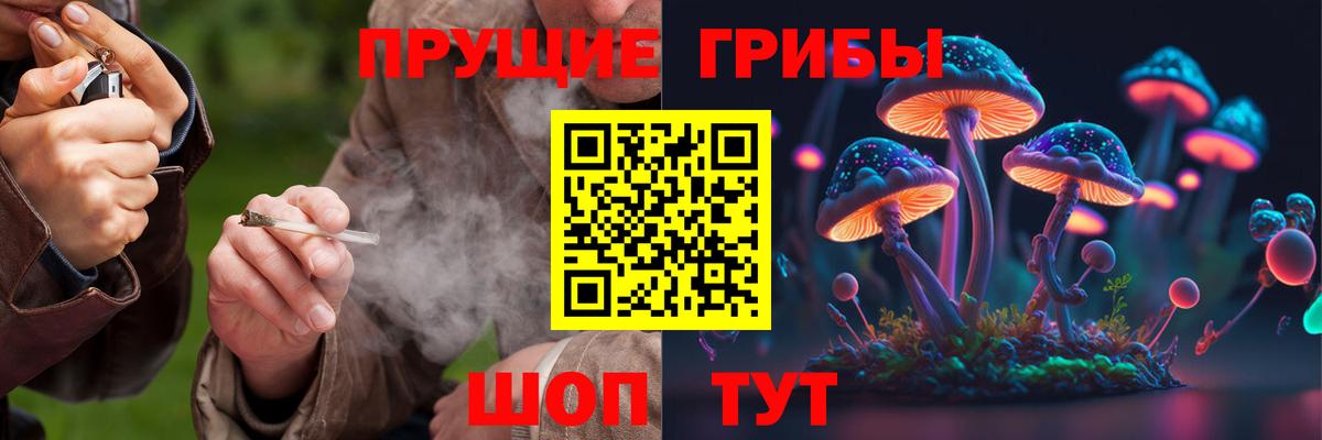 Псилоцибиновые грибы мицелий  Галлюциногенные грибы Cubensis  Вход с VPN  Королёв 